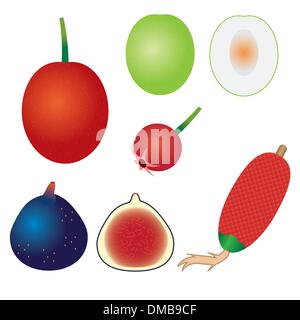 Ensemble de fruits exotiques. Illustration de Vecteur