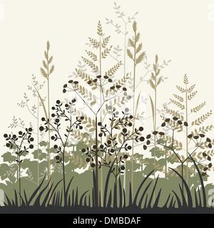 Plantes et herbes background Illustration de Vecteur