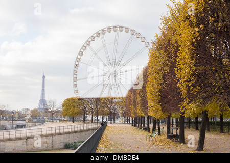 La Grande Roue, la grande roue de la Place de la Concorde, Paris, vue depuis les Jardins des Tuileries Banque D'Images