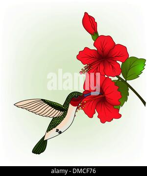 Hummingbird avec fleur rouge Illustration de Vecteur