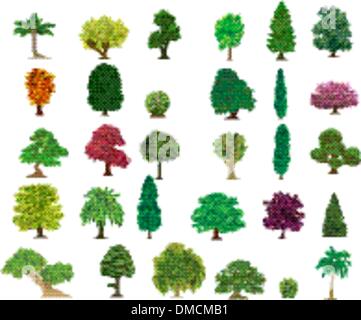 Ensemble d'arbres différents Illustration de Vecteur