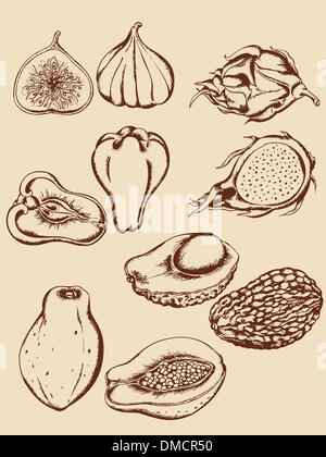 Fruits tropicaux vintage Illustration de Vecteur