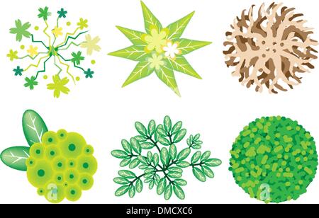 Un ensemble d'isométrique des arbres et des plantes Illustration de Vecteur