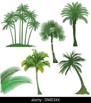 Ensemble de palm tree Illustration de Vecteur