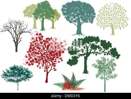 Ensemble d'arbres feuillus Illustration de Vecteur