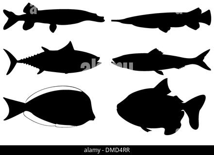 Silhouette de mer et poissons de rivière Illustration de Vecteur