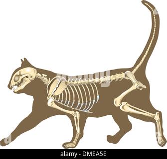 chat Illustration de Vecteur