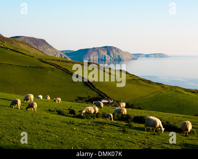 Niarbyl Bay, île de Man Banque D'Images