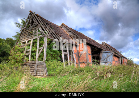 Envahi par la vieille grange, Warwickshire, en Angleterre. Banque D'Images