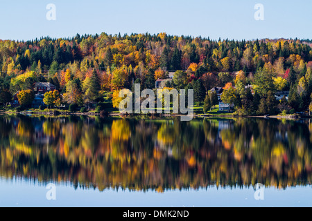 Lac Etchemin, les érables, l'été indien, les couleurs de l'automne, CHAUDIÈRE-APPALACHES, QUÉBEC, CANADA Banque D'Images