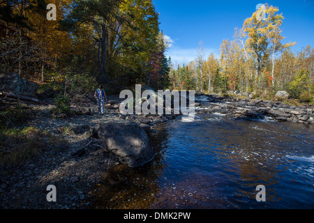 La ZONE AUTOUR DE SAINTE-LUCIE-DE-BEAUREGARD, CHAUDIÈRE-APPALACHES, couleurs d'automne, QUÉBEC, CANADA Banque D'Images