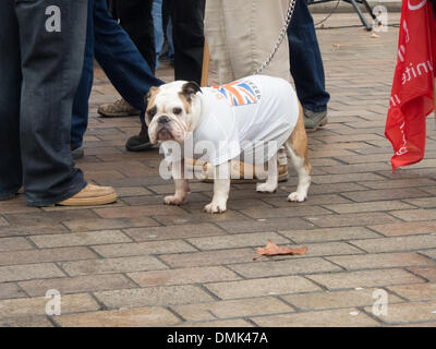 Portsmouth, Royaume-Uni. 14 décembre 2013. Un bouledogue porte un T-shirt lors d'une protestation contre la possible fermeture de BAE des installations de construction navale dans l'arsenal Crédit : Simon Evans/Alamy Live News Banque D'Images