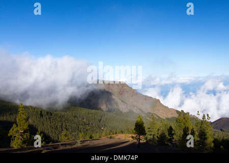 Nuages sur Montaña la Crucita Parque et de Pins à Cumbre de montagnes dorsale, le Parc National du Teide, Tenerife Banque D'Images