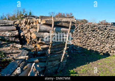 Bois de chauffage empilé pour carburant domestique - France. Banque D'Images
