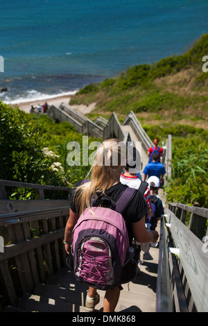 Un adolescent marche le long de la célèbre cent marches qui grimpent Mohegan Bluffs, un grain de beauté naturelle sur Block Island en Nouvelle Angleterre, USA Banque D'Images