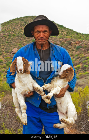 Deux carryign amna herder chèvre Boer goatlings, près de Kuboes, Richtersveld, province de Northern Cape, Afrique du Sud Banque D'Images