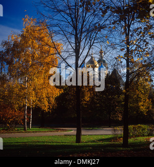 Monastère Novospassky à l'automne Banque D'Images