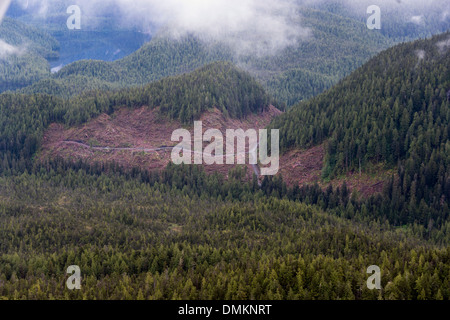Chemin d'exploitation forestière et une coupe au-dessus du chenal Grenville, mi-côte Colombie-Britannique Banque D'Images