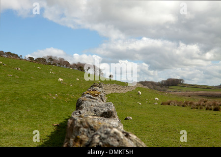 Fort romain de Housesteads, fort de l'auxiliaire d'un mur d'Hadrien, Haydon Bridge, Hexham, Northumberland, Angleterre, Grande-Bretagne. Banque D'Images