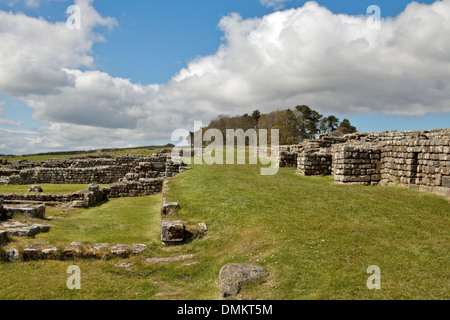 Fort romain de Housesteads, fort de l'auxiliaire d'un mur d'Hadrien, Haydon Bridge, Hexham, Northumberland, Angleterre, Grande-Bretagne. Banque D'Images