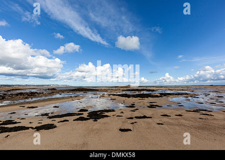 Plage à marée basse, Seymour Tower, Jersey, Channel Islands, Royaume-Uni Banque D'Images