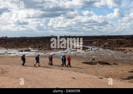 Le groupe à pied guidées dans la nature des sables bitumineux de passage à marée basse, Seymour Tower, Jersey, Channel Islands, Royaume-Uni Banque D'Images