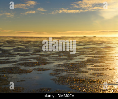 Patinoire formation au-dessus de l'eau calme de l'océan Arctique de la mer de Beaufort à l'île Barter Kaktovik Alaska USA au coucher du soleil Banque D'Images