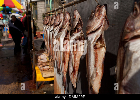 Morues entières séchées à fish hanging shijang Jagalchi marché plein air (traditionnel) - Busan, Corée du Sud Banque D'Images