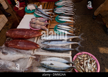 Poisson frais divers s'élèvent à (shijang Jagalchi marché traditionnel en plein air) - Busan, Corée du Sud Banque D'Images
