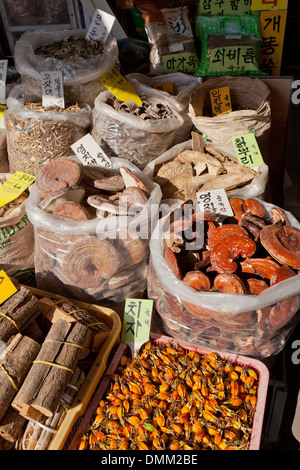 La médecine de fines herbes traditionnel coréen - marché des ingrédients à Busan, Corée du Sud Banque D'Images