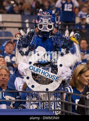 Indianapolis, IN, USA. Le 15 décembre, 2013. Une montre Indianapolis Colts pour soutenir son équipe pendant le match de la NFL entre les Houston Texans et les Indianapolis Colts au Lucas Oil Stadium à Indianapolis, IN. Les Indianapolis Colts défait les Texans de Houston 25-3. Credit : csm/Alamy Live News Banque D'Images