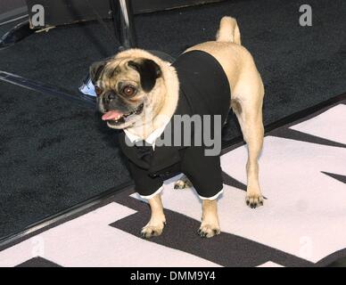 27 juin 2002 - Los Angeles, Californie, USA - ..'MEN IN BLACK II' - PREMIÈRE MONDIALE.MANN VILLAGE THEATRE, LOS ANGELES, CA.26 JUIN 2002. NINA PROMMER/ 2002 K25428NP(Image Crédit : © Globe Photos/ZUMAPRESS.com) Banque D'Images