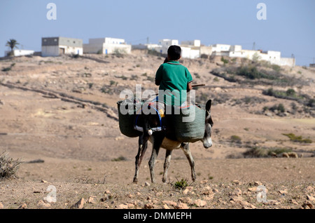 D'un âne garçon berbère une petite vallée à proximité d'un village berbère, sur la côte au sud d'essaouira maroc Banque D'Images