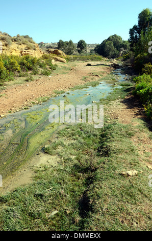 Cours d'eau à travers une oasis dans une petite vallée à proximité d'un village berbère, sur la côte au sud d'essaouira maroc Banque D'Images