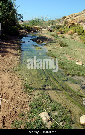 Cours d'eau à travers une oasis dans une petite vallée à proximité d'un village berbère, sur la côte au sud d'essaouira maroc Banque D'Images