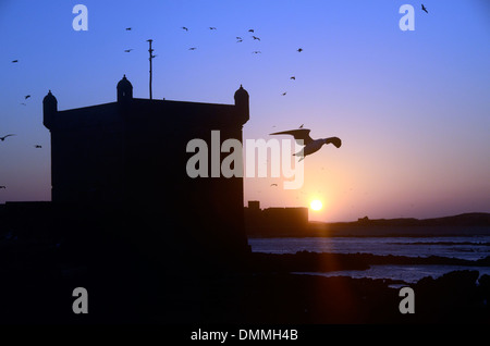 Avis de Skala du port à proximité de la vieille ville d'Essaouira, ville côtière du Maroc. Banque D'Images