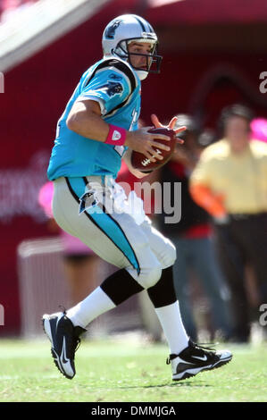 18 octobre 2009 : Caroline Panthère quart-arrière Jake Delhomme # 17 est à la recherche d'un récepteur. Les Panthers défait les Tampa Bay Buccaneers 28-21 chez Raymond James Stadium de Tampa, Floride. (Crédit Image : © Global/ZUMApress.com) Southcreek Banque D'Images