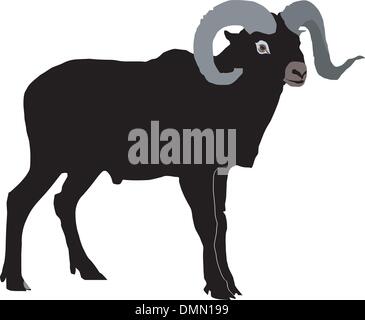 mouflon Illustration de Vecteur