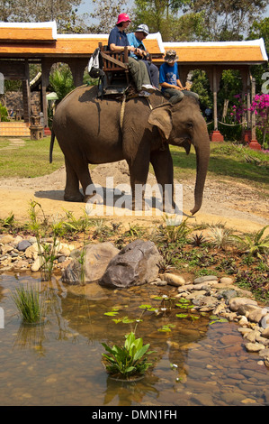 Portrait d'un vertical couple occidental bénéficiant d''une excursion à dos d'éléphant au Laos. Banque D'Images