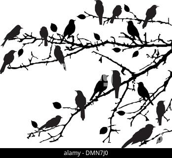 Les oiseaux sur les branches Illustration de Vecteur