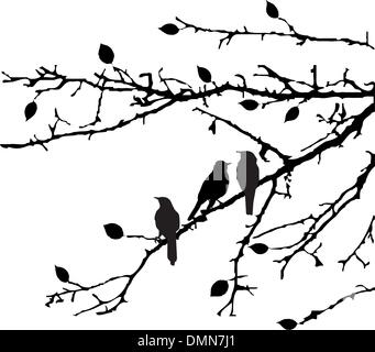 Les oiseaux sur les branches Illustration de Vecteur