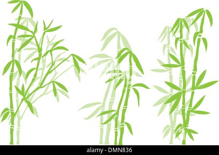 Vector en bambou Illustration de Vecteur