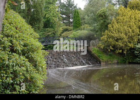 Pont sur la ferronnerie petite cascade par lake dans un jardin de campagne anglaise. Banque D'Images