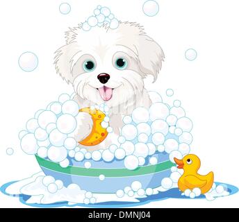 Prendre un bain chien moelleux Illustration de Vecteur