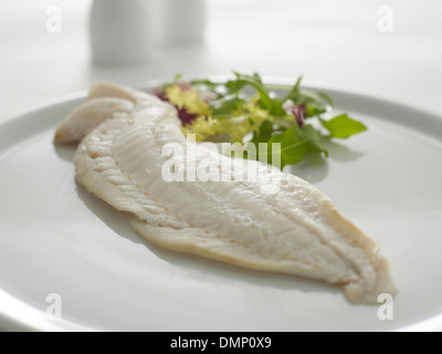 Salade de poisson sel poivre plaque plate Banque D'Images