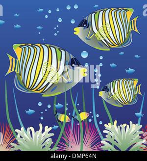 Aquarium et poissons vecteur Illustration de Vecteur