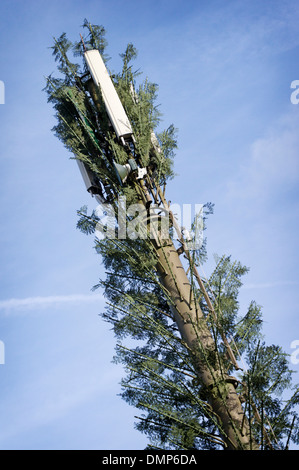 - Tour de cellules de mât d'antenne de téléphonie mobile déguisé en arbre Banque D'Images