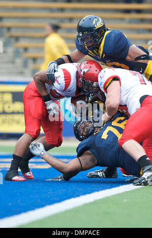 12 septembre 2009 - Berkeley, Californie, États-Unis - 12 septembre 2009 : Eastern Washington deuxième tournant retour Darriell Beaumonte tente de sortir de sa propre zone d'en-but que Cal sophomore linebacker Mychal Kendricks et défensive junior poseur Derrick Hill faire pression pour une sécurité pendant la NCAA football match entre l'Eastern Washington University et l'Université de Californie à Memorial Stadi Banque D'Images