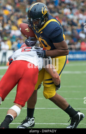 12 septembre 2009 - Berkeley, Californie, États-Unis - 12 septembre 2009 : Cal sophomore tight end Anthony Miller perd la poignée sur la balle au cours de la NCAA football match entre l'Eastern Washington University et l'Université de Californie à Berkeley dans Memorial Stadium, CA. Â© Matt Cohen / Southcreek Global 2009 (Image Crédit : © Matt Cohen/ZUMApress.com) Southcreek/mondial Banque D'Images