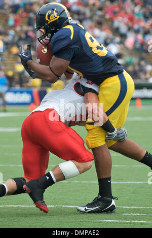 12 septembre 2009 - Berkeley, Californie, États-Unis - 12 septembre 2009 : Cal sophomore tight end Anthony Miller récupère son propre fumble lors de la NCAA football match entre l'Eastern Washington University et l'Université de Californie à Berkeley dans Memorial Stadium, CA. Â© Matt Cohen / Southcreek Global 2009 (Image Crédit : © Matt Cohen/ZUMApress.com) Southcreek/mondial Banque D'Images